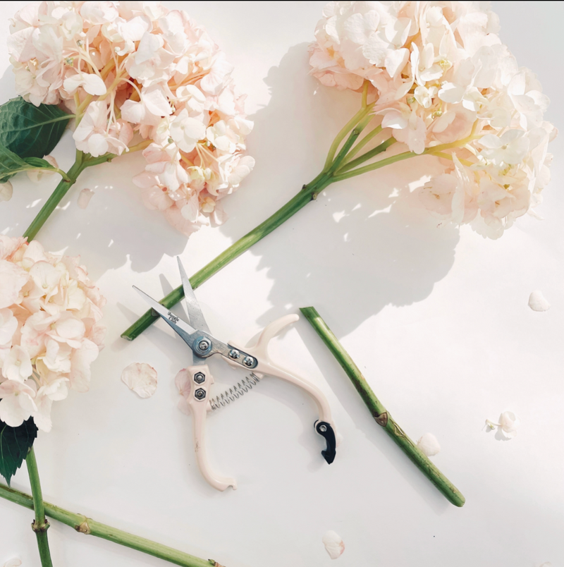 Plant Accessories