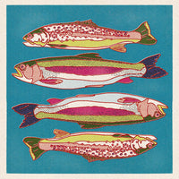 Trout Fish Art Print