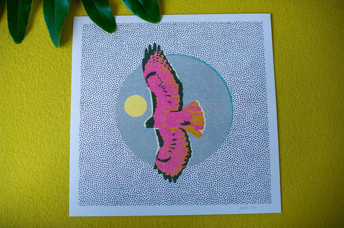 Hawk Art Print
