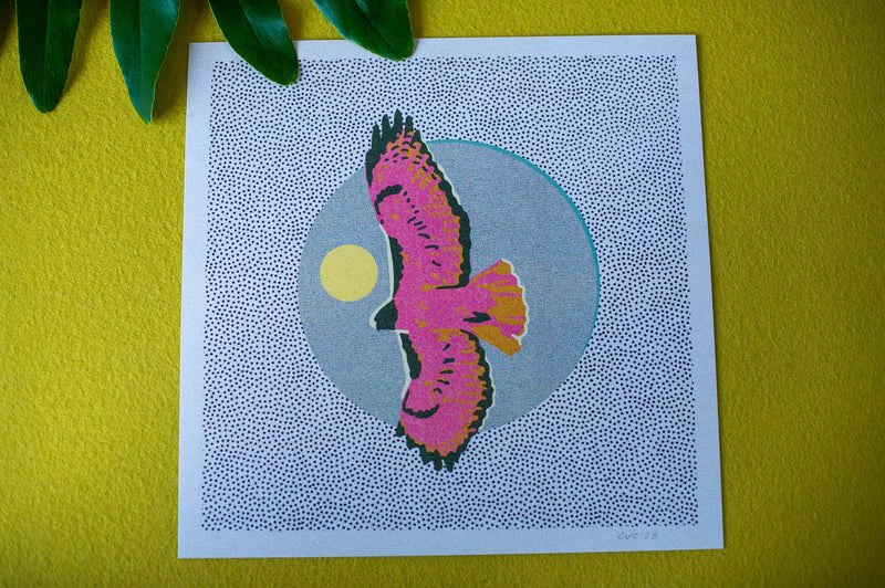 Hawk Art Print