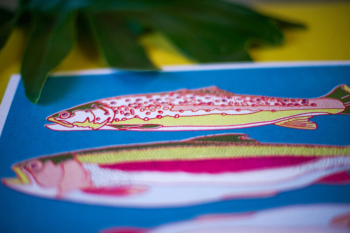 Trout Fish Art Print