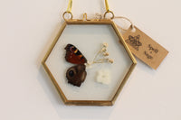 Opal Floral Frame