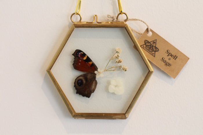 Opal Floral Frame
