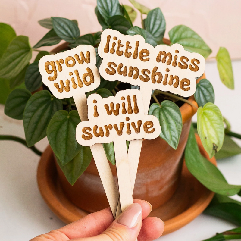 Retro Plant Markers