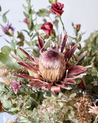 Dried Floral Arrangement: Mulberry Mirage