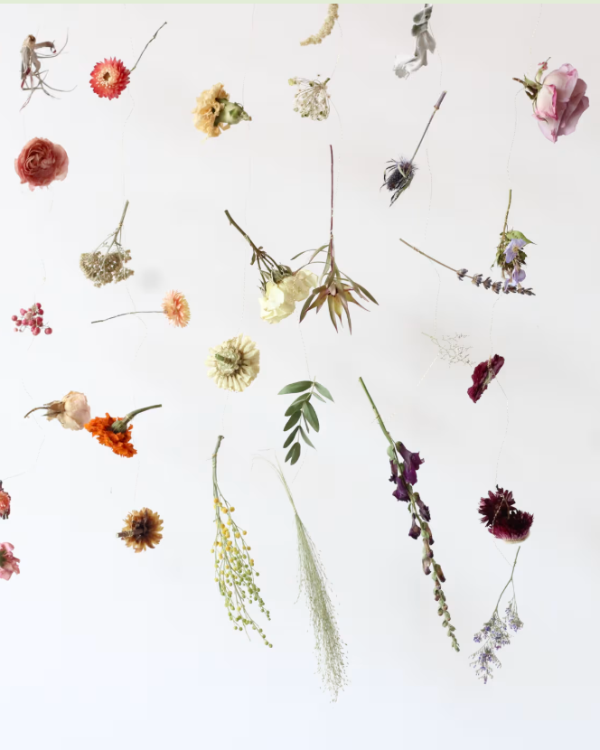 Dried Floral Hanging: Full Spectrum