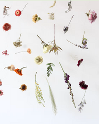 Dried Floral Hanging: Full Spectrum
