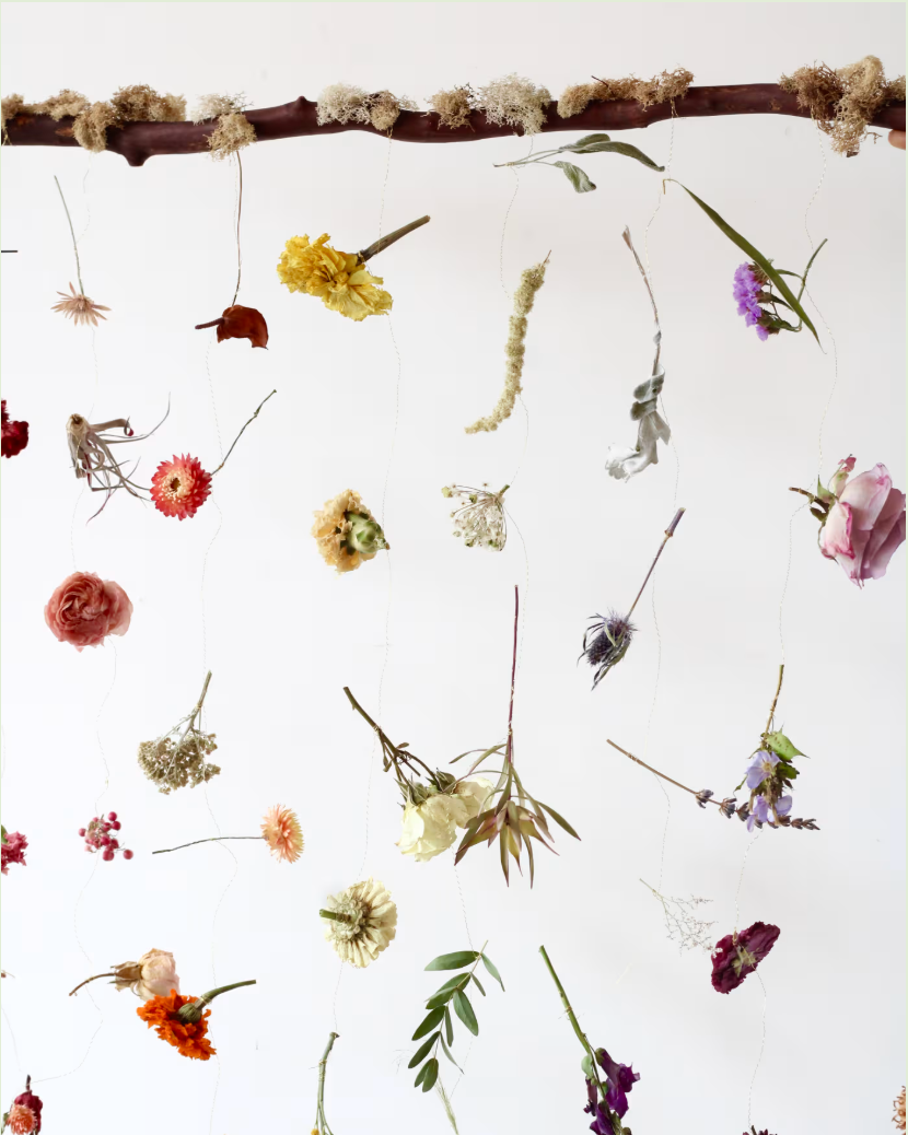 Dried Floral Hanging: Full Spectrum