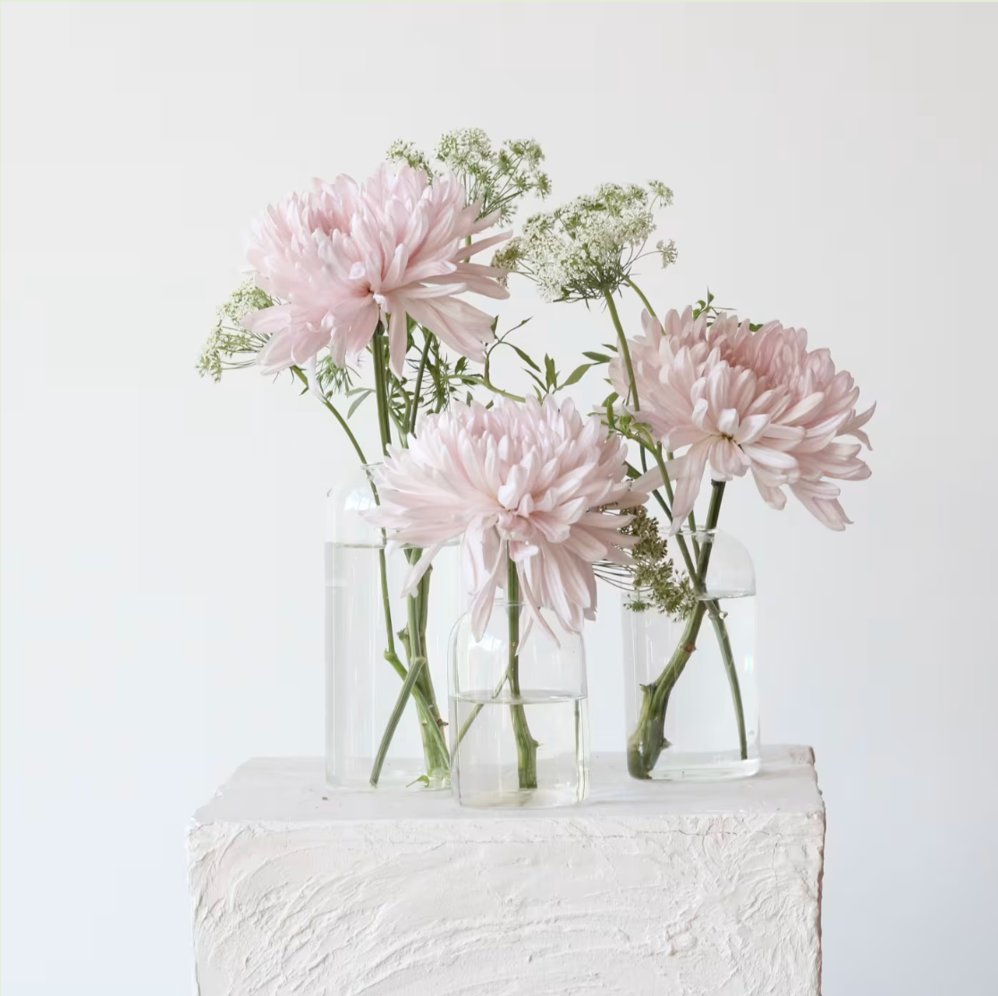 Blush Bud Vase Trio