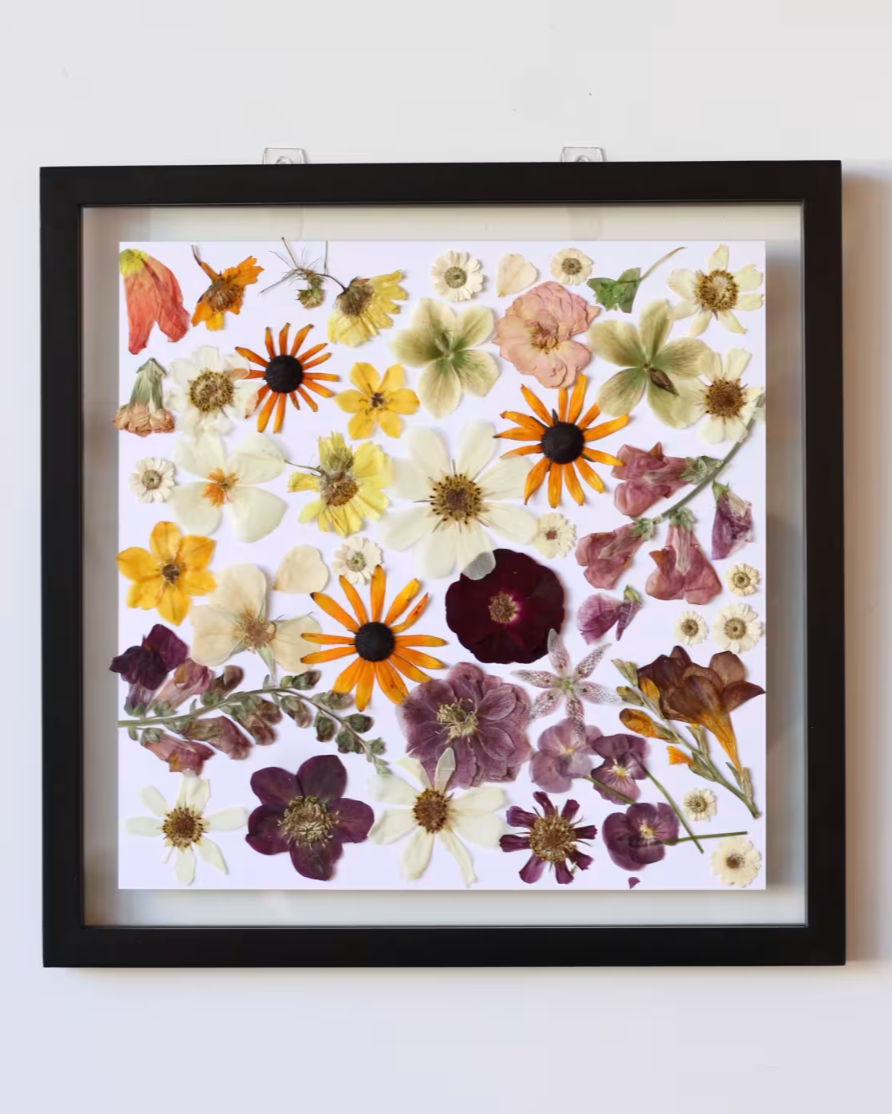 Pressed Flower Art: Purple & Yellow
