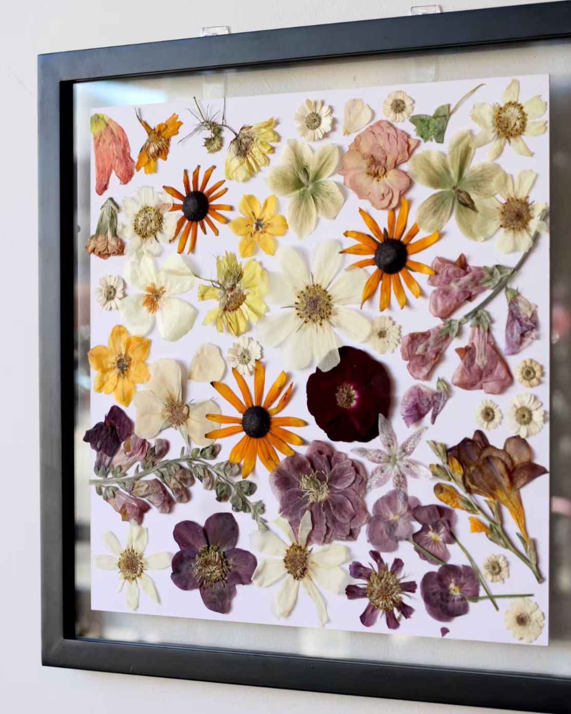 Pressed Flower Art: Purple & Yellow