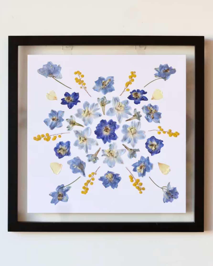 Pressed Flower Art: Blue & Yellow