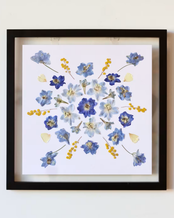 Pressed Flower Art: Blue & Yellow