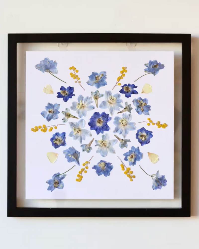 Pressed Flower Art: Blue & Yellow