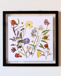 Pressed Flower Art: Assorted