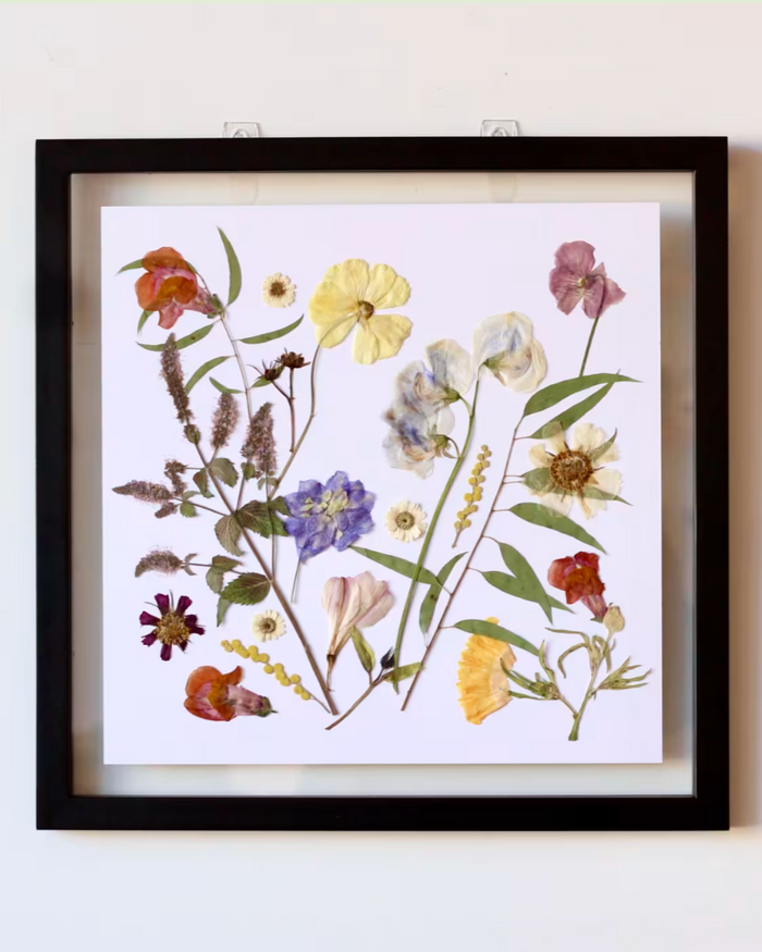 Pressed Flower Art: Assorted