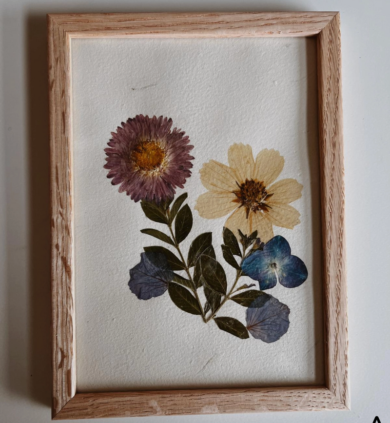 Pressed Flowers Wall Art:  Violet & Cream