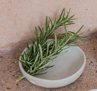 Wabi Ceramic Herb Stripper