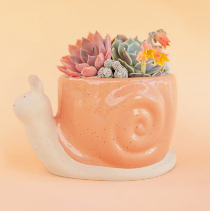 Snail Planter: Sunset