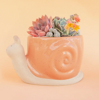 Snail Planter: Sunset