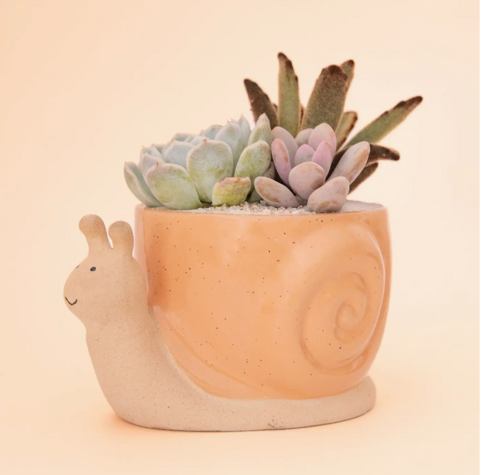Snail Planter: Sunset