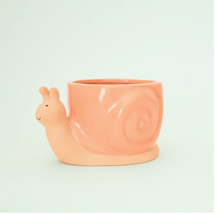 Snail Planter: Sunset