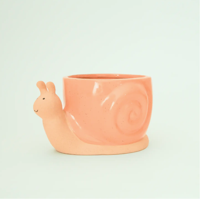Snail Planter: Sunset