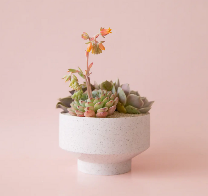 Speckle Footed Planter: White