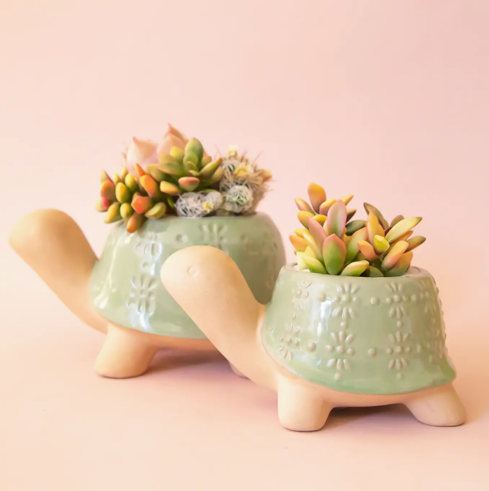 Turtle Planter: Lagoon