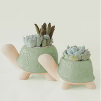 Turtle Planter: Lagoon