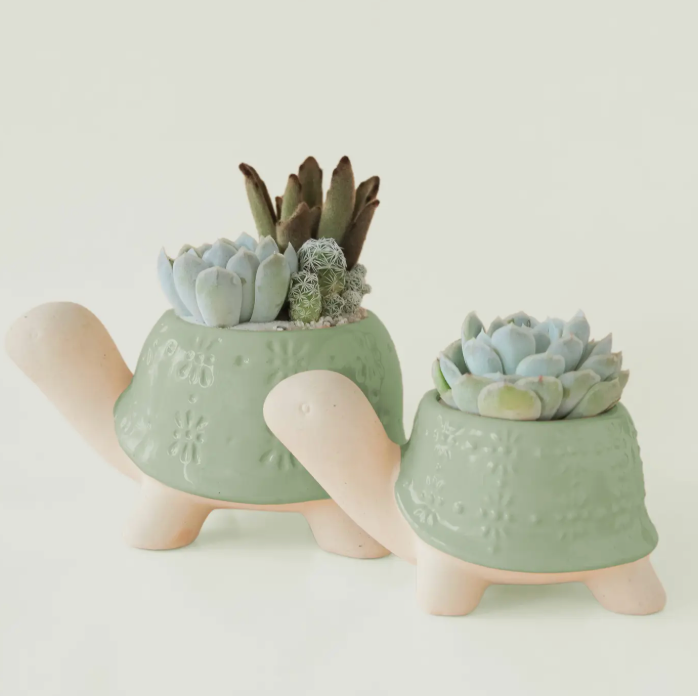 Turtle Planter: Lagoon