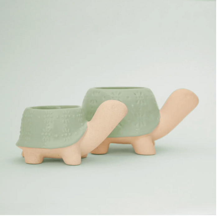 Turtle Planter: Lagoon