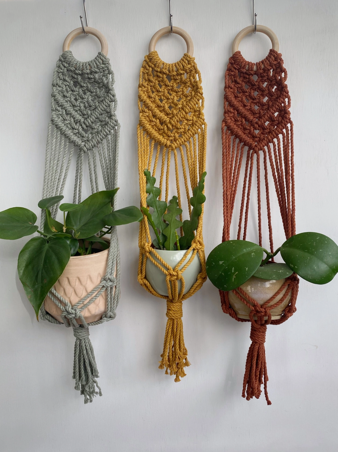Macrame Wall Plant Hanger: Sage