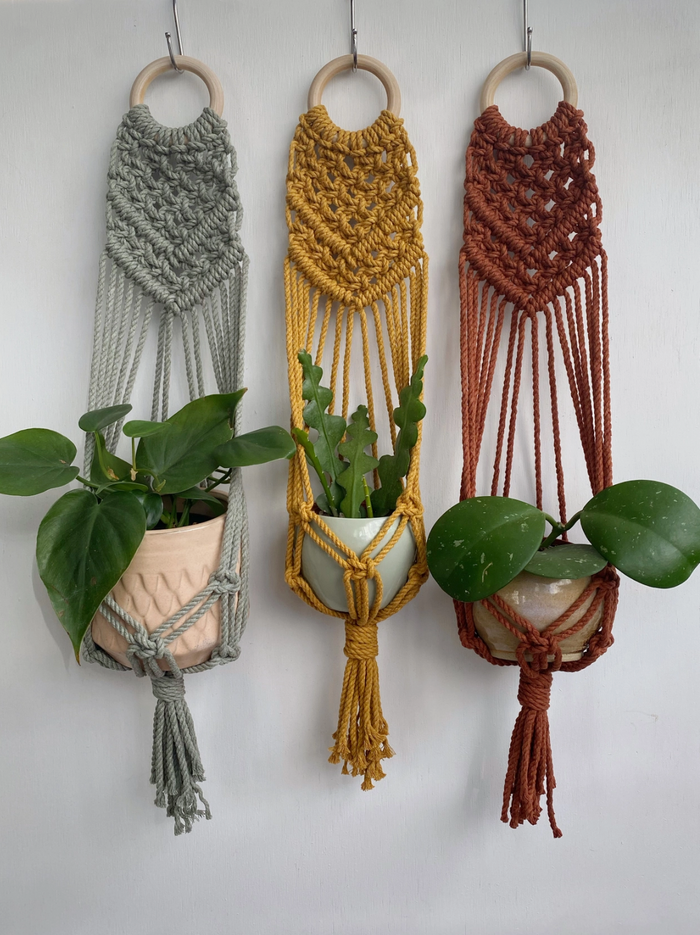 Macrame Wall Plant Hanger: Sage