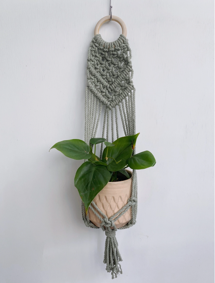 Macrame Wall Plant Hanger: Sage