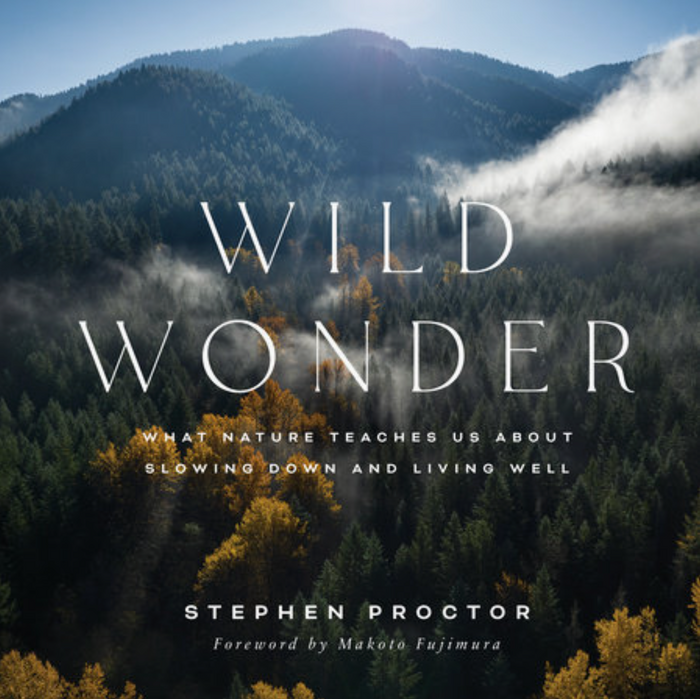 Wild Wonder | Stephen Proctor