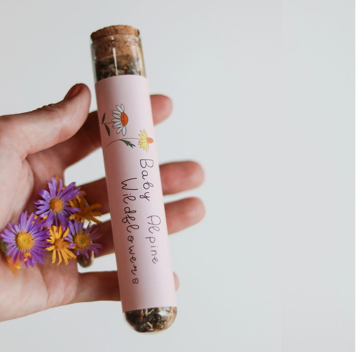 Mountain Wildflower Seed Mix