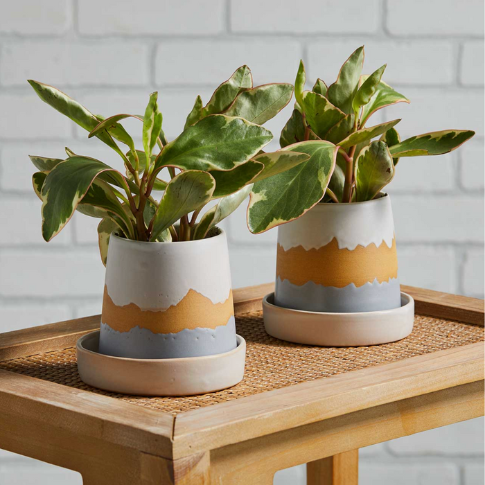 Smoky Mountain Pass Planter