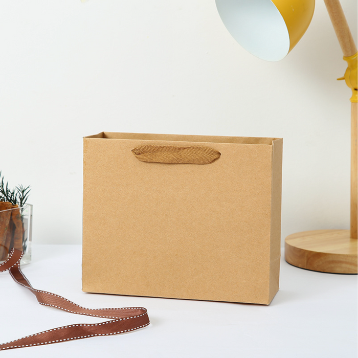 Gift Bag: Small Horizontal Kraft Paper (B1)