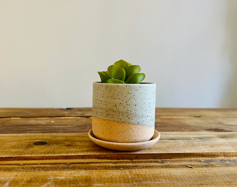Handmade Cylindrical Planter - Speckled Mint