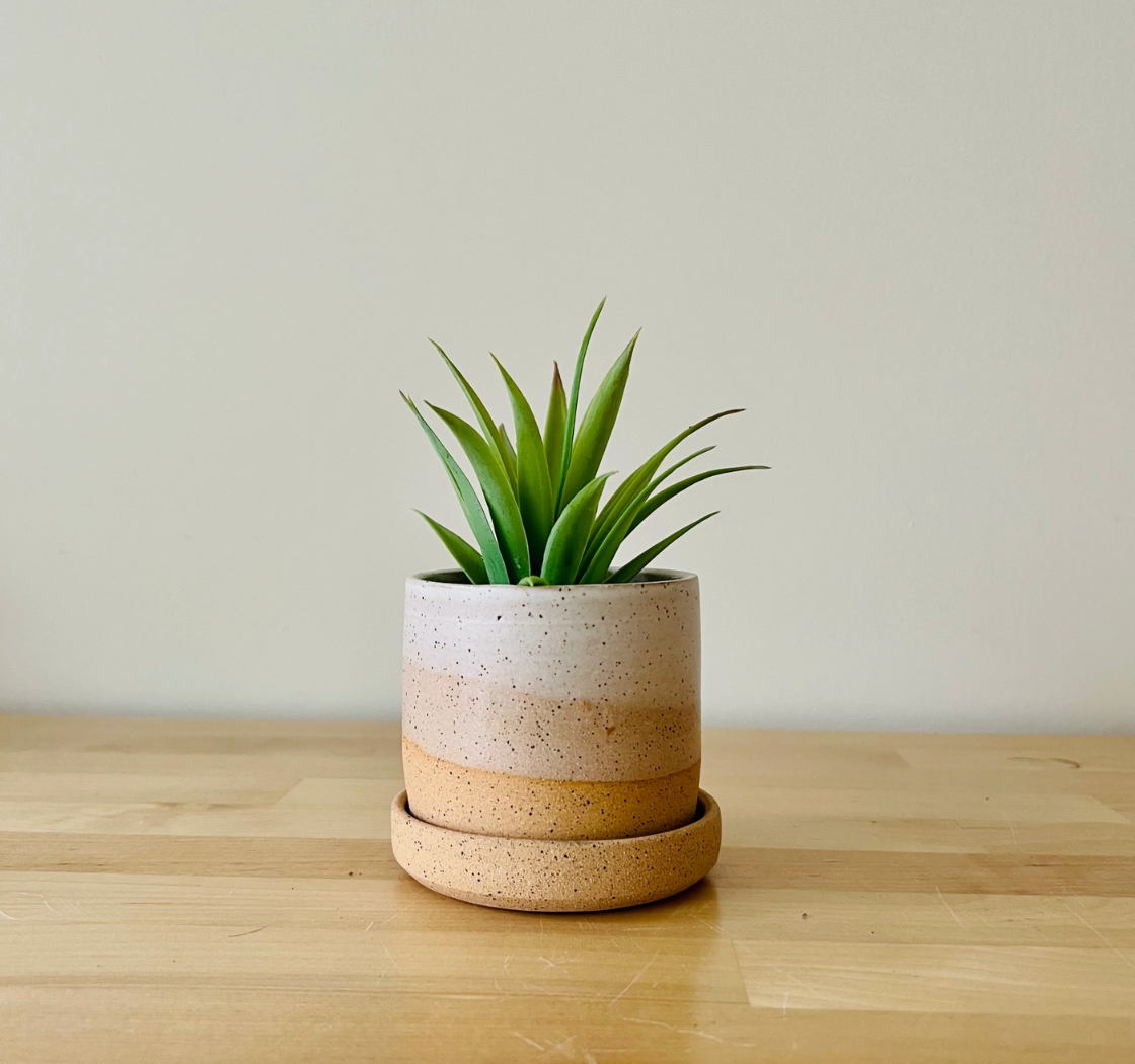 Handmade Cylindrical Planter - Speckled Mint