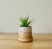 Handmade Cylindrical Planter - Speckled Mint
