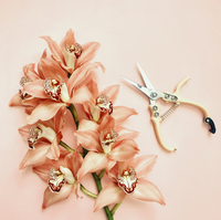 Pruning Shears: Vanilla
