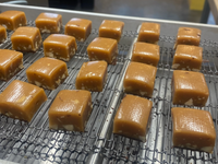Honey Hazelnut Caramels in 70% Dark Chocolate