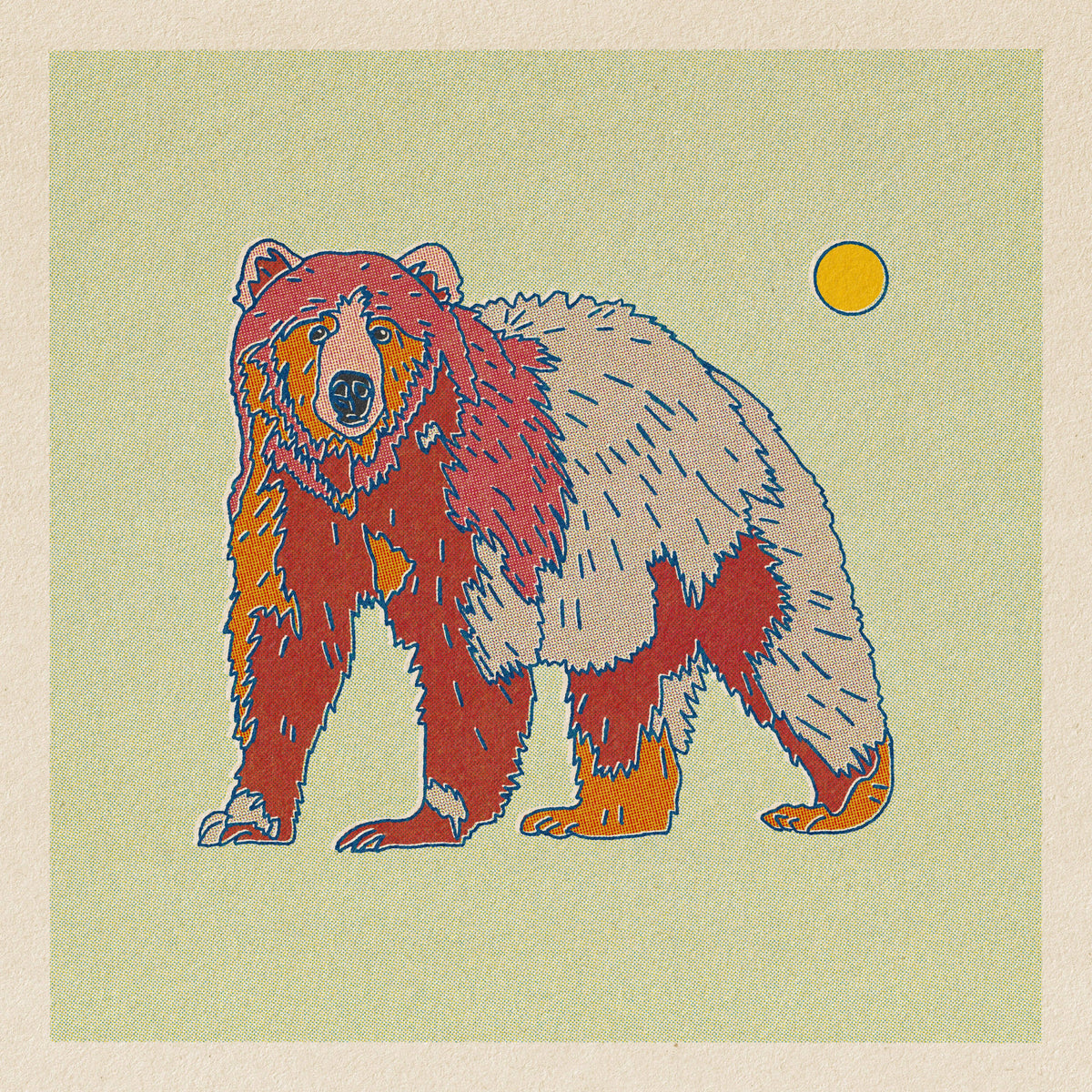 Bear Art Print
