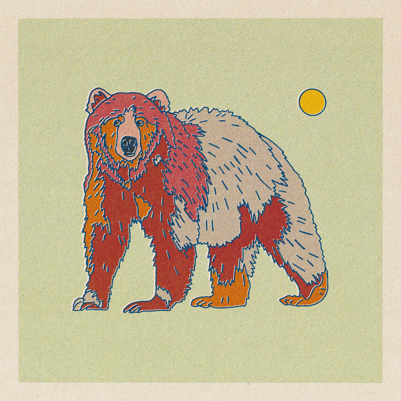 Bear Art Print