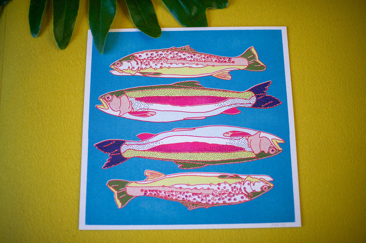 Trout Fish Art Print